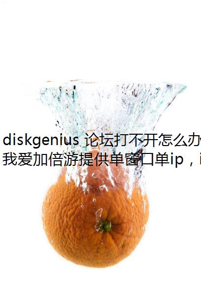 diskgenius ̳򲻿ô죿