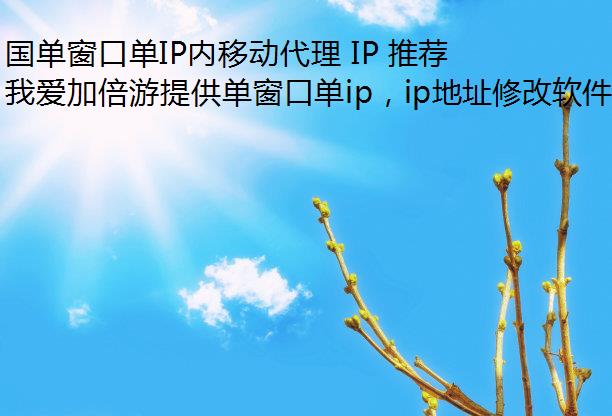 ڵIPƶ IP Ƽ:Ĵлƶ