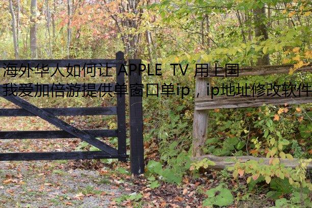 ⻪ APPLE TV Ϲ IP ַ