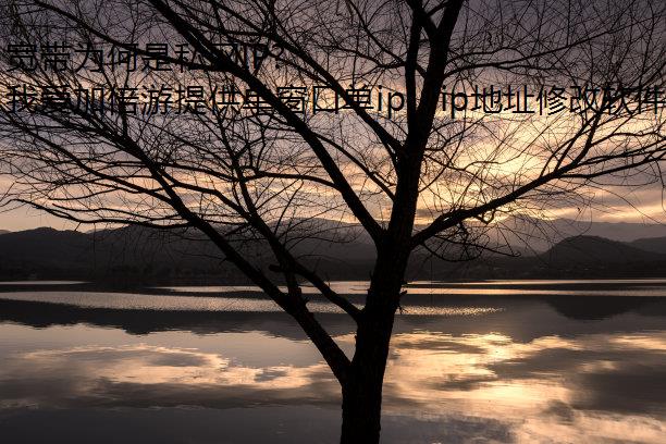 Ϊ˽IP?