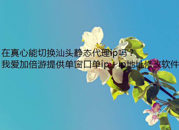 лͷ̬ip𣿵Ȼԣ