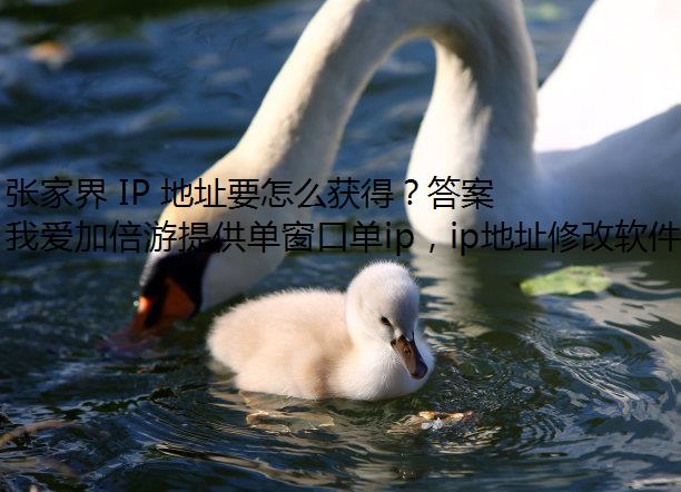 żҽ IP ַҪôã𰸾