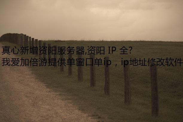 , IP ȫִл